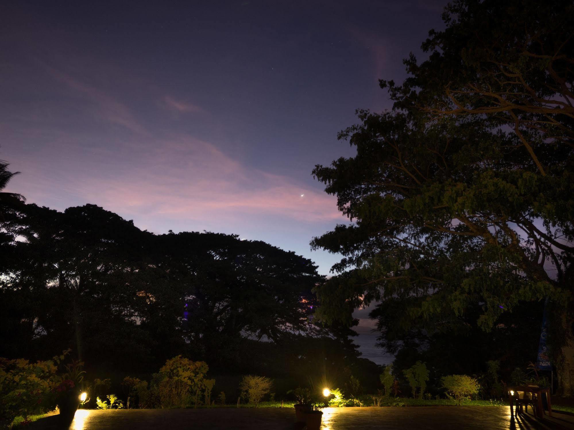 Taveuni Dive Resort Waiyevo Extérieur photo